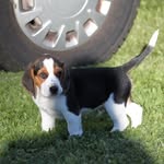 Ralf Lundenor - @ralflundenor - Instagram