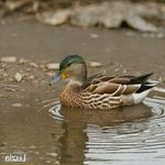 Ralf Miller - @ralfmiller8 - Instagram