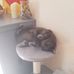 Ralf Mohr - Facebook