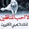المليكى المغرور - @nassmatalfikiralf - TikTok