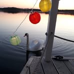 Ralf Schaefer - Facebook