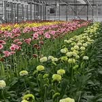 Ralf Schmitz - @ralf.schmitz.gartenbau - Instagram