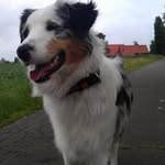 Ralf Schrader - @ralli260 - Instagram