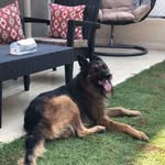 Dr. Ralf Smith - @dr.ralfsmith - Instagram