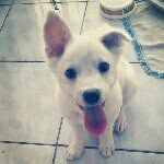 Ralf Smith - @ralf_smith - Instagram