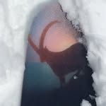 Ralf Vogel - @gruener_stromer__ralf_vogel - Instagram