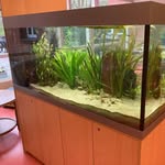 Ralf Vogel Aquaristik - @ralfvogelaquaristik - Instagram