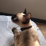 Ralph Aaron Pleños - Facebook