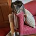 Ralph Abrahamson - Facebook