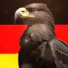 Ralf Adler - @ralfadler - TikTok