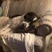 Ralph Akers - Facebook