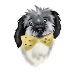 Ralph Albert - @lhasapoo_ralph_albert - Instagram