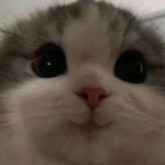 Ralph Aquino - @ralphaquino__ - Instagram