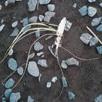 Ralph Ashley - @ralphashley70 - Instagram
