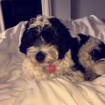 Ralph Lozz Avery - @ralphlozz - Instagram