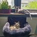 Ralf Bader - Facebook