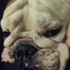 Ralph Bader - @ralph.bader2 - TikTok