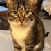 Ralph Bain - Facebook