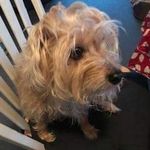 Ralph Baker - @ralph.baker.372 - Instagram