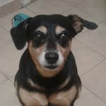 Ralph Barbosa de Oliveira - @barbosa_ralph - Instagram