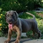 Ralph Barreras - @barrerasralph - Instagram
