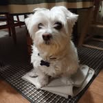 Ralph Bartlett - @ralphbartlett8 - Instagram