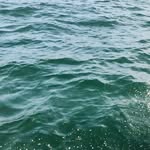 Ralph Bartlett - @ralphbartlett412 - Instagram