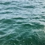Ralph Bartlett - @412rbartlett1969 - Instagram