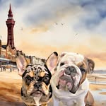 Ralph & Betty 💙🩷 - @ralph_and_bettys_adventures - Instagram