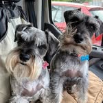 BAXTER & RALPH - @baxter_ralph - Instagram