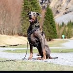 Karen Watts - @ralphbaxter2014 - Instagram