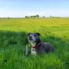 Ralph - @ralph_beans - TikTok