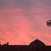 BEERS RALPH HARRY - @harrybubba_2022 - TikTok