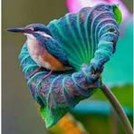 Ralph Benoit - Facebook
