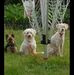 Ralph Berkenbusch - Facebook