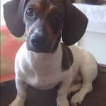 Ralph Correia Bernardo - @ralphcorreiabernardo - Instagram