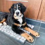 @ralph_bernese_berner - Instagram
