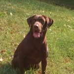 Ralph Betts - @bettsralph - Instagram