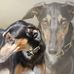 Ralph Beyer - Facebook