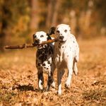 Ralph Beyer - @ralbey1967 - Instagram