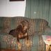 Ralph Bingham - Facebook