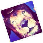 Ralph Bishop - @ralph5jbishop12 - Instagram