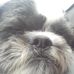 Ralph Blevins - Facebook