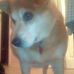 Ralph Blevins - Facebook