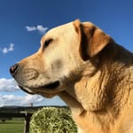 Ralph - @cheese.block.ralph - Instagram