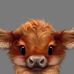 Ralf Blust - Facebook