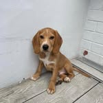 Ralph cosgrove - @r_a_l_p_h.____bocker - Instagram