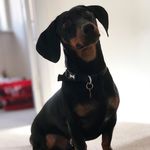 Sir Ralph Longbody - @ralphlongbody - Instagram