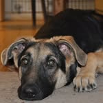 Ralph Boger - @bubba.barnes.509 - Instagram