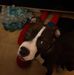 Ralph Boone - Facebook